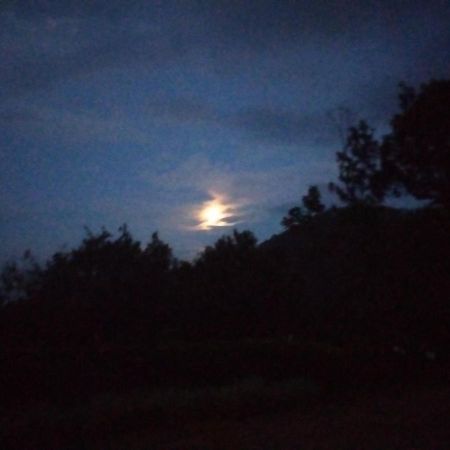 Abiyal Mountain Stay Madikeri Kültér fotó